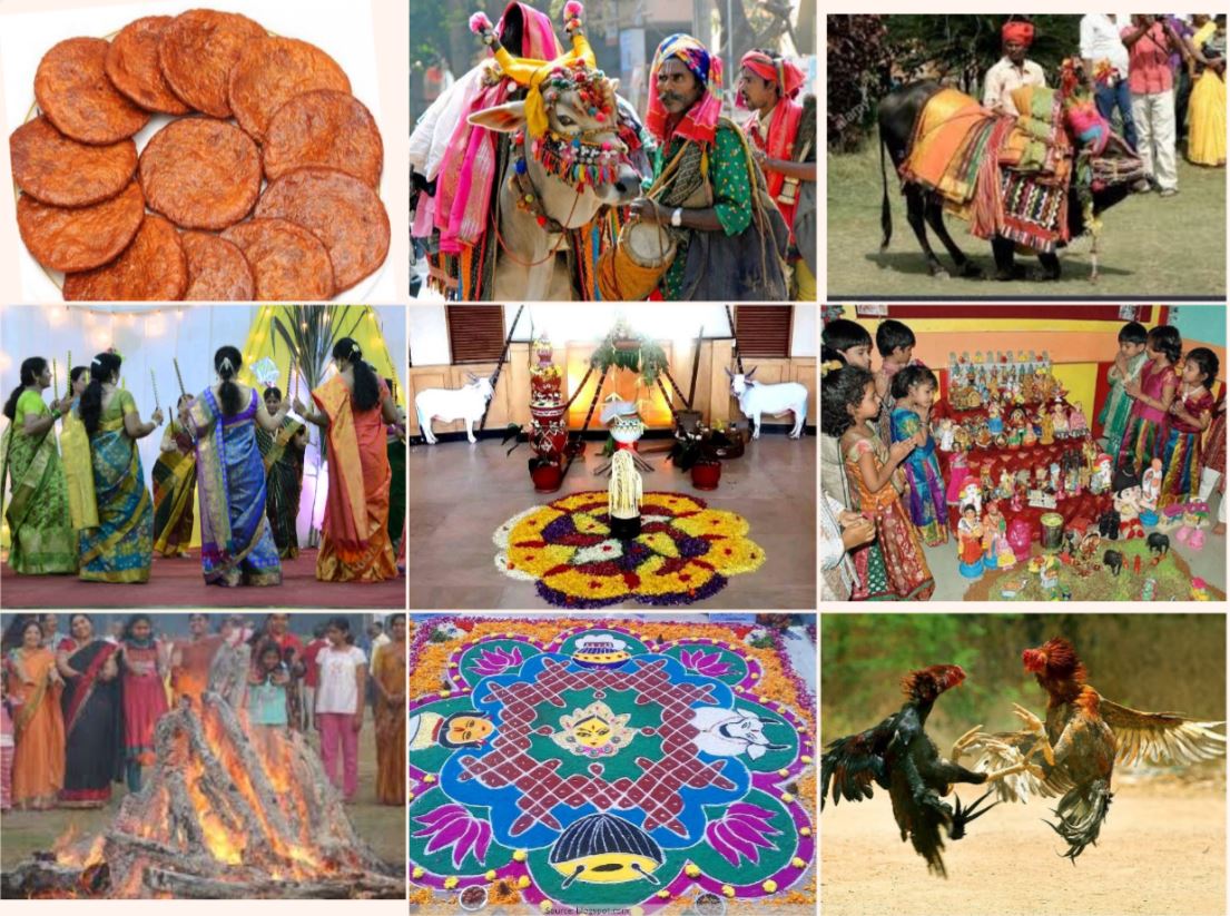 sankranthi festival 